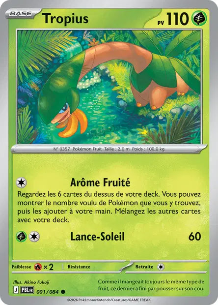 Tropius - PBL - 001/084 - Non Reverse - Nuit Noire - NM - FR