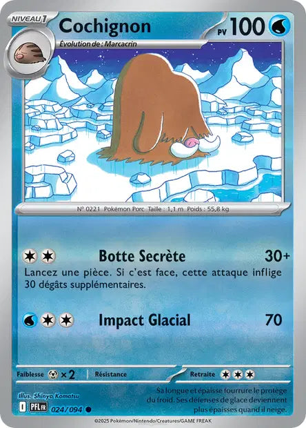 Cochignon - PFL - 024/094 - Reverse - Flammes Fantasmagoriques - NM - FR