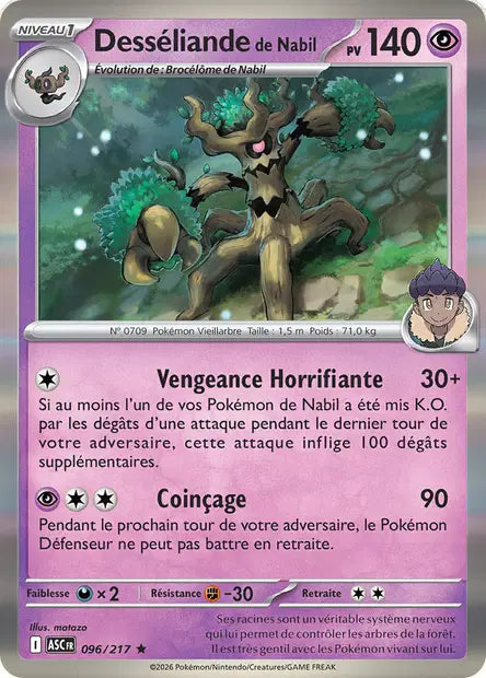 Desséliande de Nabil - ASC - 096/217 - Holo - Héros Transcendants - NM - FR