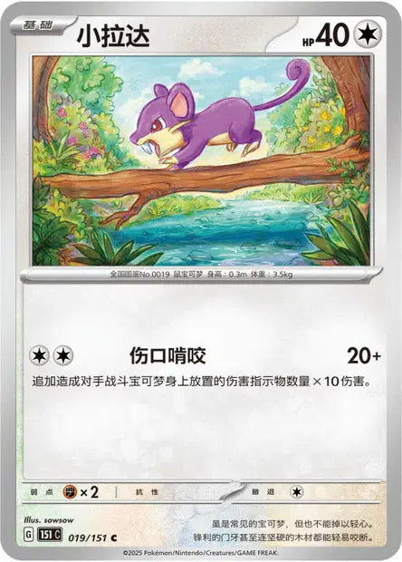 Rattata - 151C - 019/151 - Non Reverse - Collect 151 - NM - CHN