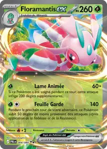 Floramantis ex - PBL - 004/084 - Nuit Noire - NM - FRA