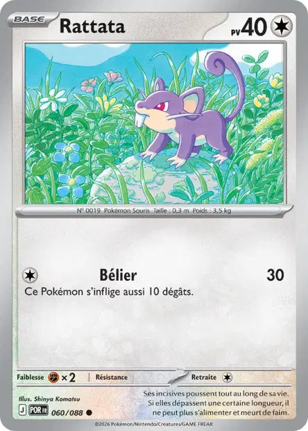 Rattata - POR - 060/088 - Non Reverse - Équilibre Parfait - NM - FR
