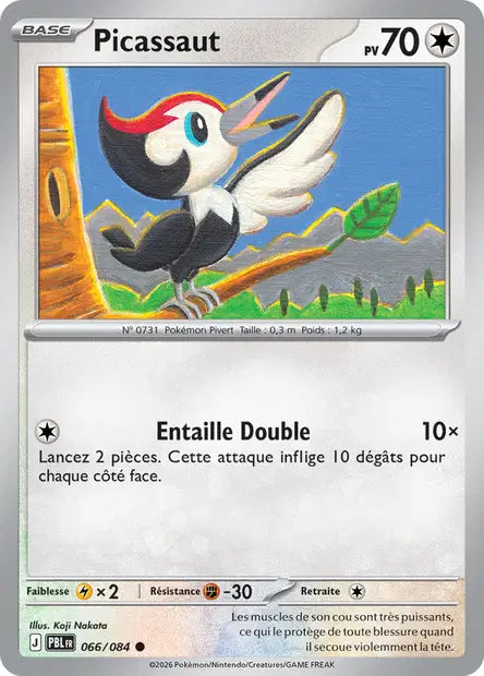 Picassaut - PBL - 066/084 - Non Reverse - Nuit Noire - NM - FR